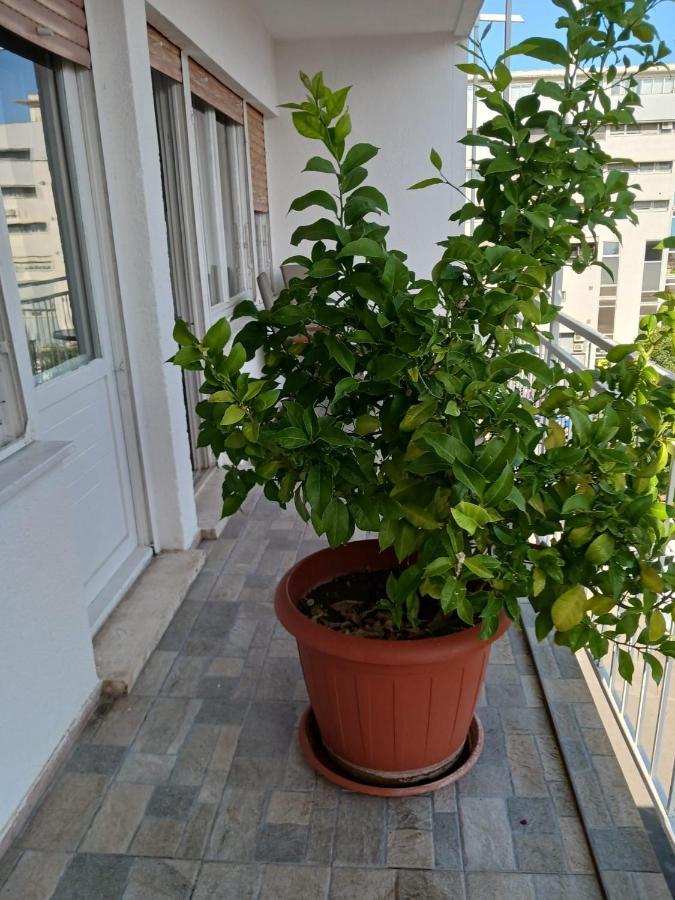 Room With Private Toilet And Terrace In City Center In Shared Apartment 斯普利特 外观 照片